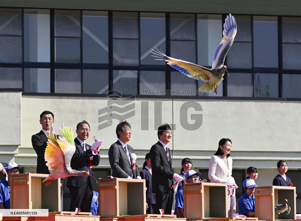 Crested ibises released into wild on Japan's main island