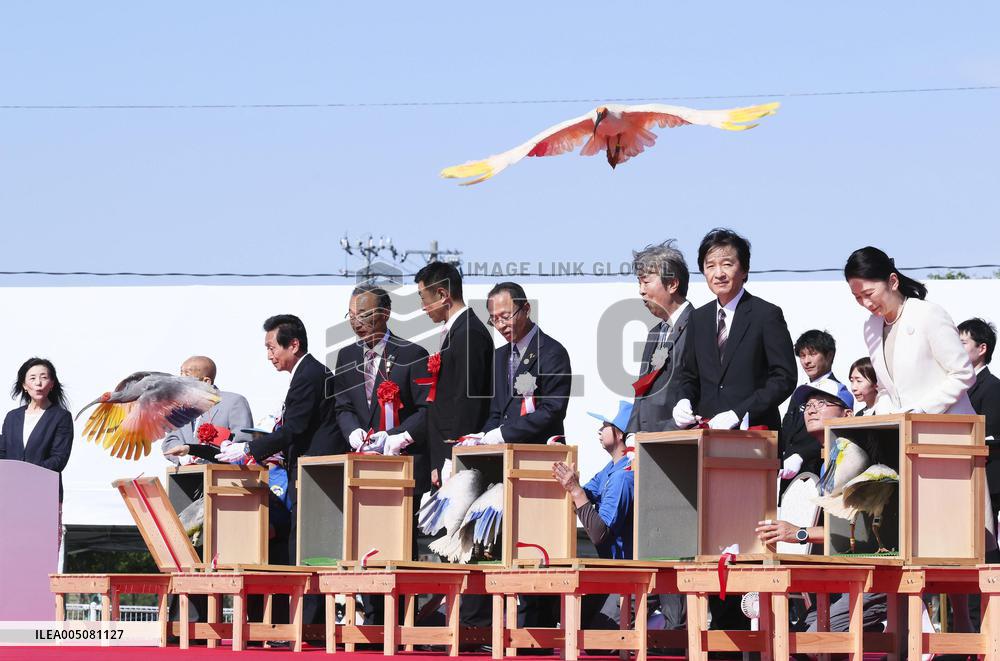 Crested ibises released into wild on Japan's main island