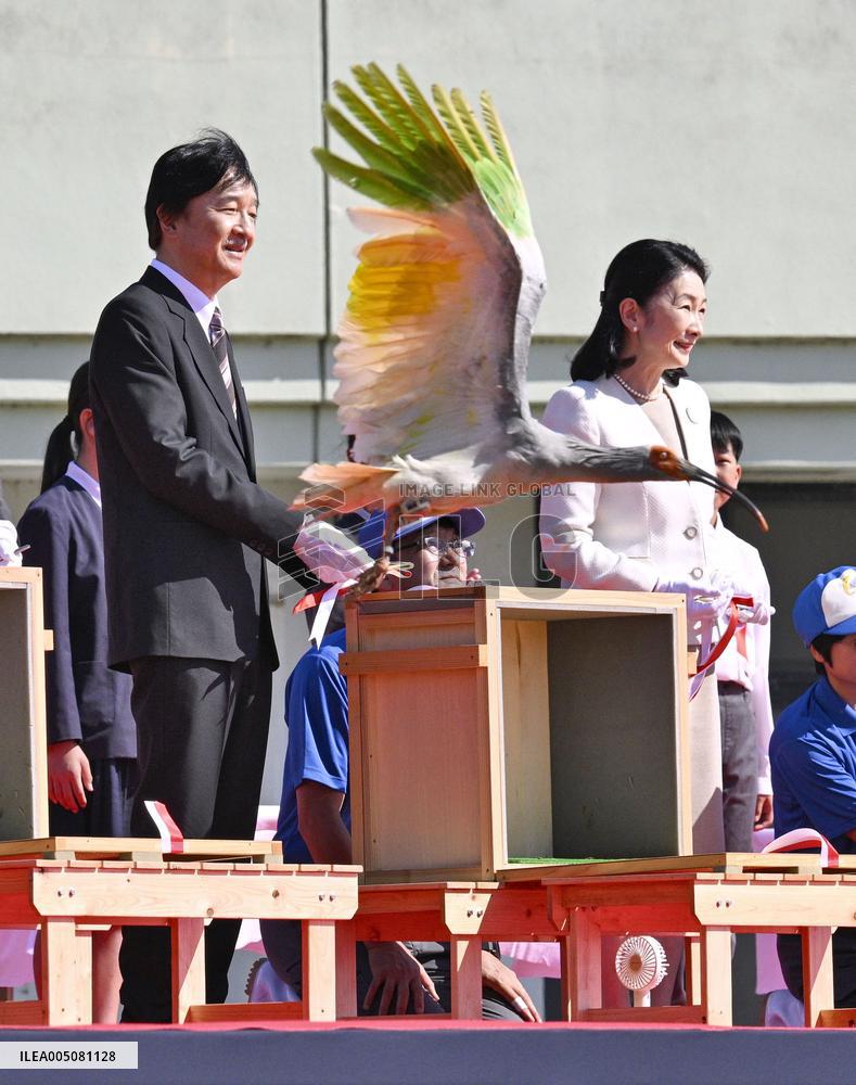 Crested ibises released into wild on Japan's main island