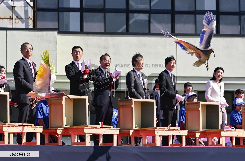 Crested ibises released into wild on Japan's main island