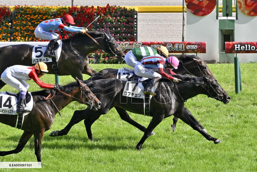 Horse racing: Japanese Derby