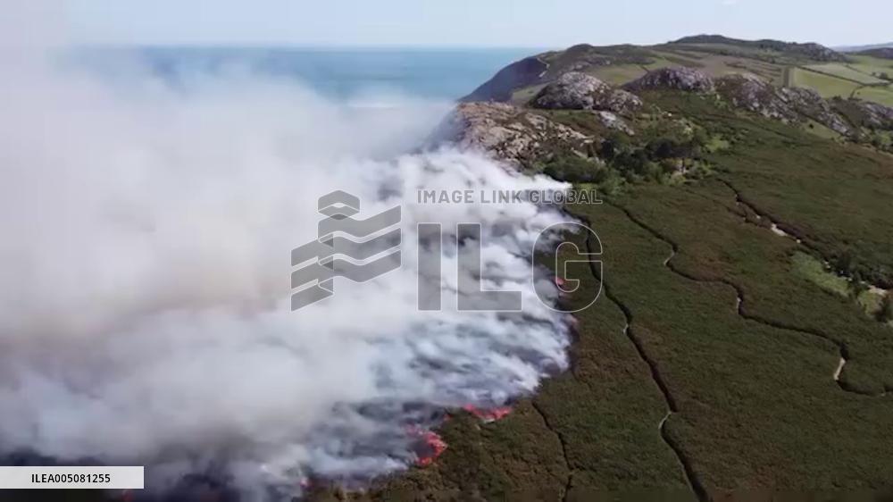 Ireland: Gorse Fire Breaks Out on Bray Head Amid Prolonged Hot and Dry Weather 2