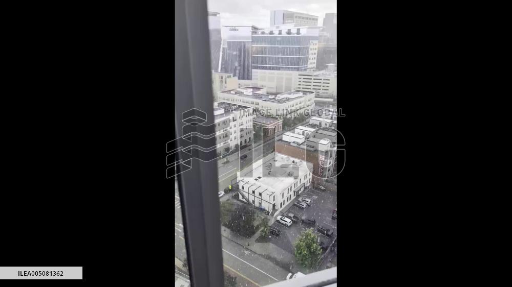 US: Hailstorm Sweeps Through Denver Metro, Causing Tree Damage and Road Chaos 2