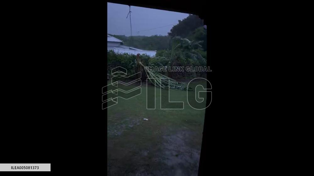 Japan: Typhoon Jangmi’s Violent Winds Bring Down Trees in Their Path 2