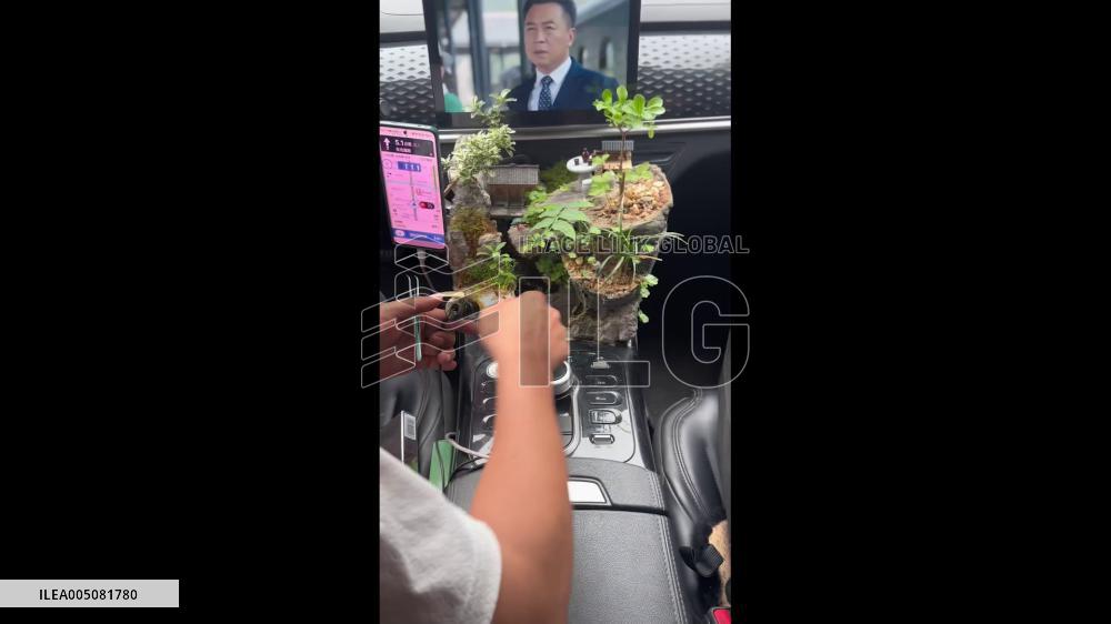 China: Ride-Hailing Driver Creates Miniature Landscape With Live Fish Tank Inside Car