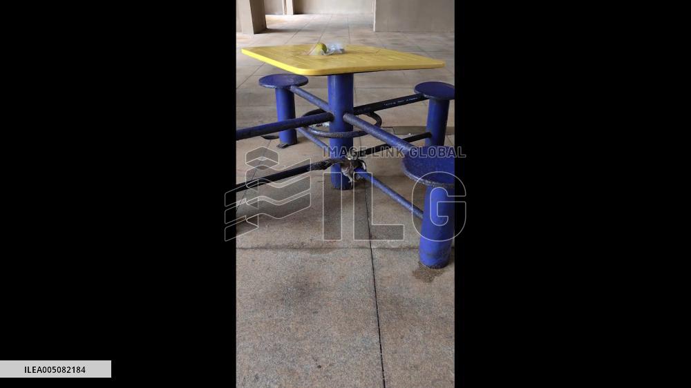 China: Lost Owl Hides Under Exercise Equipment in Henan