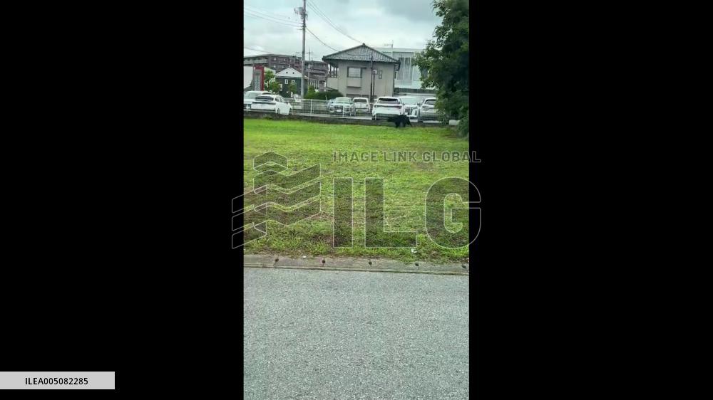 Japan: Bear Captured After Series of Sightings in Utsunomiya, North of Tokyo