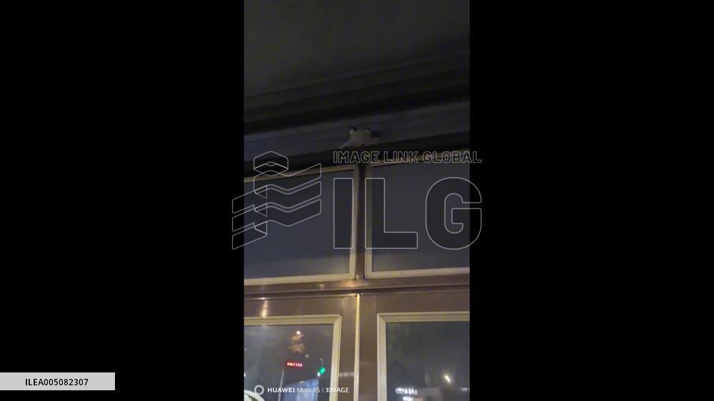 China: Swallows Build Nest on Shop’s Rolling Shutter Door in Heilongjiang