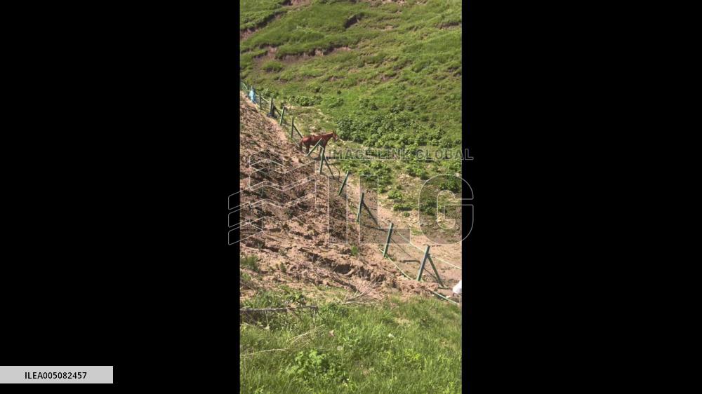 China: Passersby Rescue Horse Trapped in Wire Fence in Xinjiang
