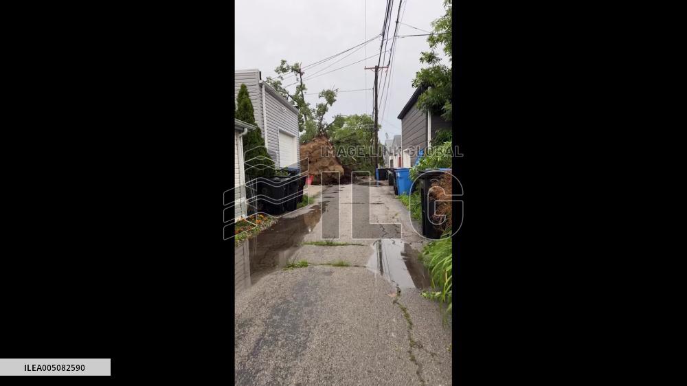 US: Strong Winds Knock Down Trees Across Chicago Area as Severe Storms Strike