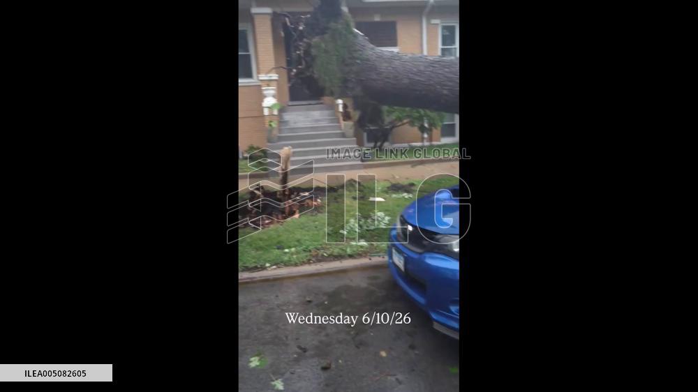 US: Strong Winds Knock Down Trees Across Chicago Area as Severe Storms Strike 2