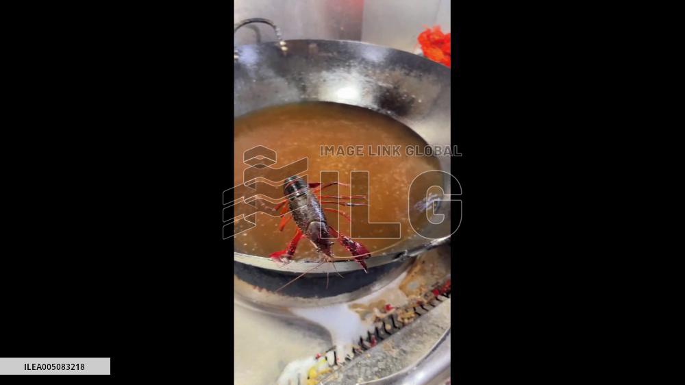 China: Crayfish Fights Desperately to Survive Boiling Pot