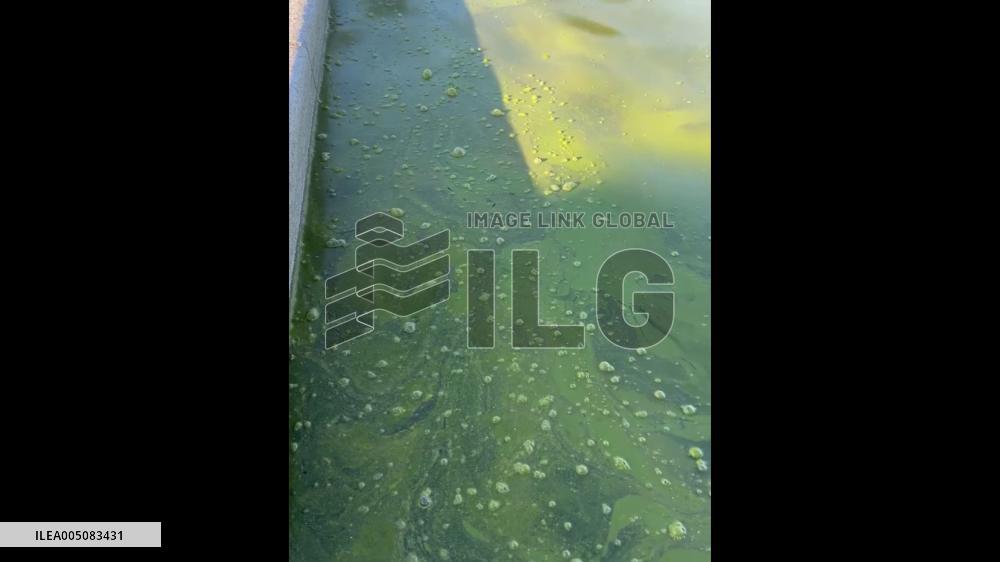 US: Green Algae Returns to Lincoln Memorial Reflecting Pool Days After $14.2 Million Renovation