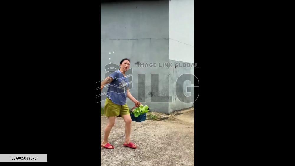 China: Woman “Walks” Butterflies Like Pets in Hunan Park