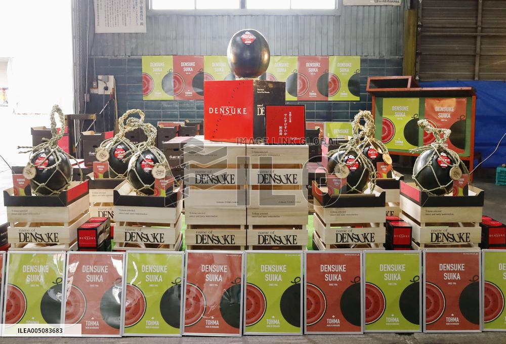 Premium watermelons in Hokkaido