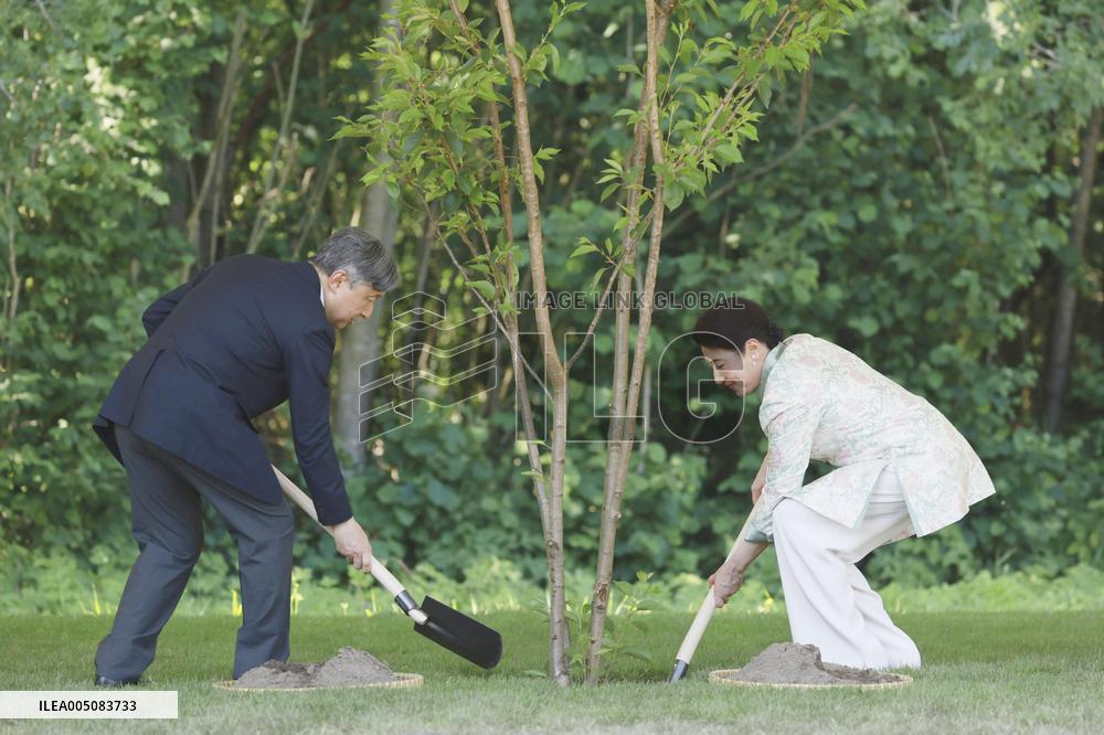 Japan's imperial couple plant cherry tree near Amsterdam