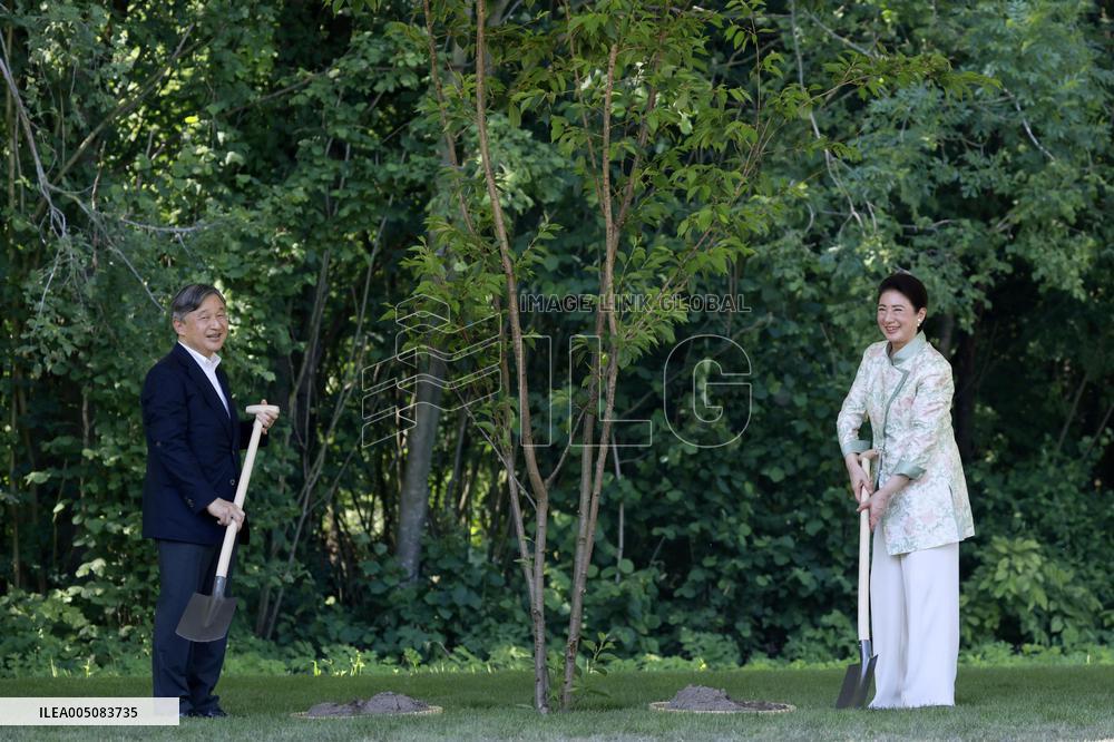Japan's imperial couple plant cherry tree near Amsterdam