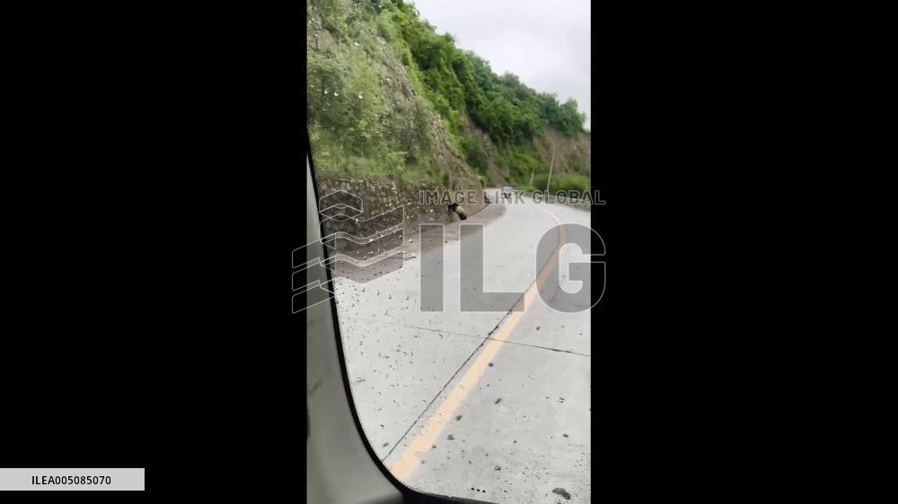 China: Wild Giant Panda Tries to Climb Stone Retaining Wall in Sichuan