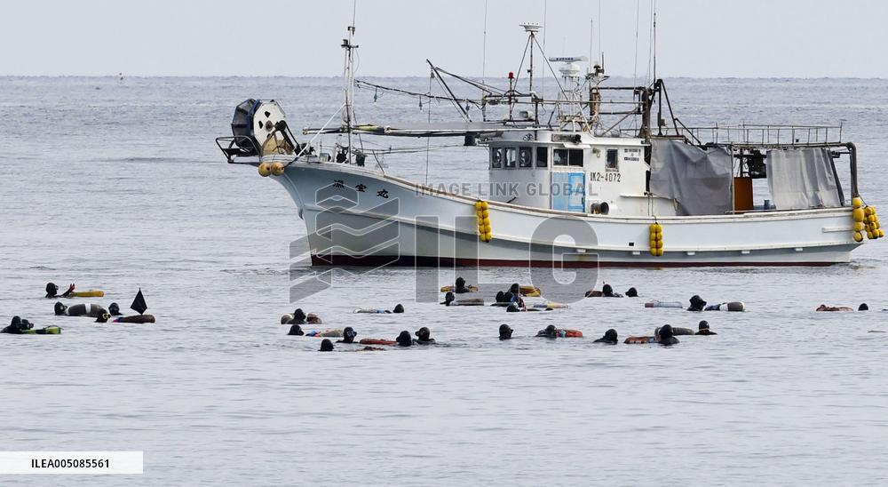 Seaweed harvesting season starts in central Japan