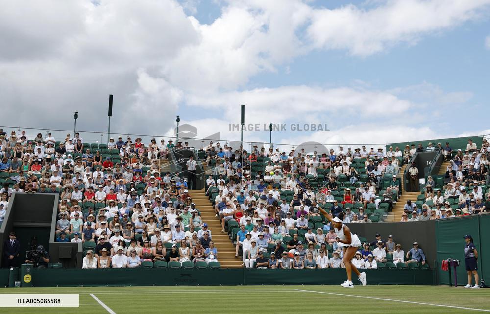 Tennis: Wimbledon championships