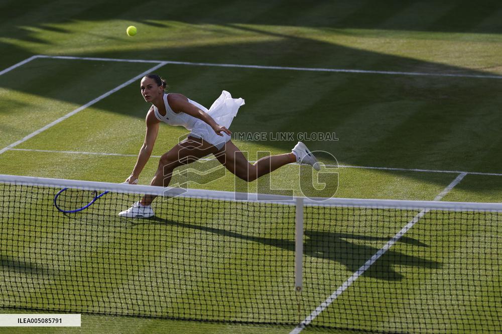 Tennis: Wimbledon championships
