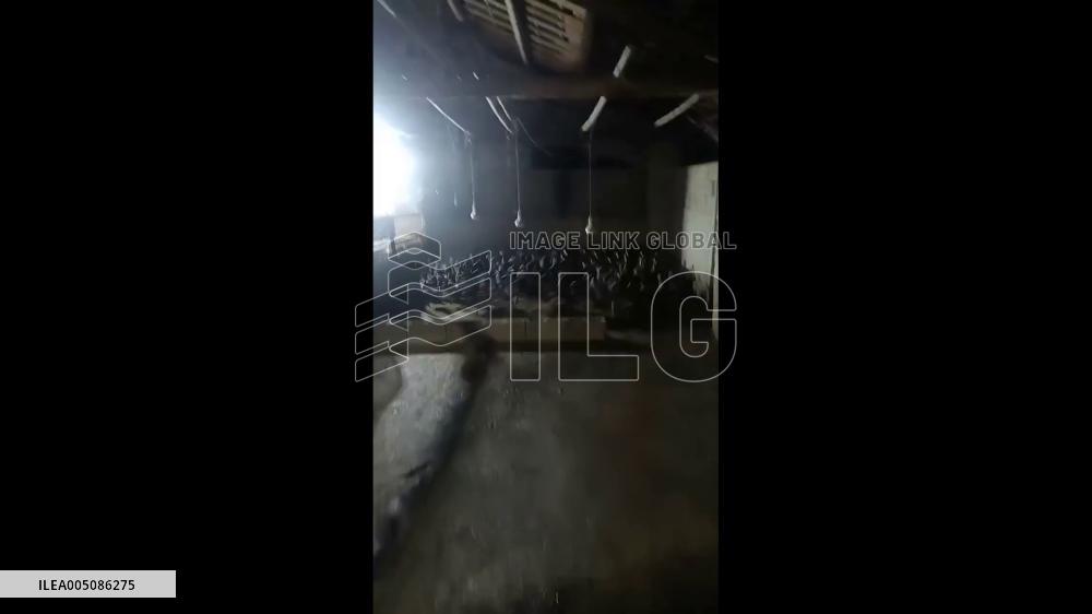 China: Ducks Filmed Spinning in Circles at Farm in Hunan