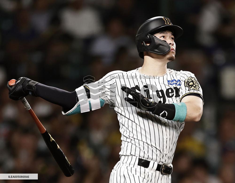 Baseball: Swallows vs. Tigers