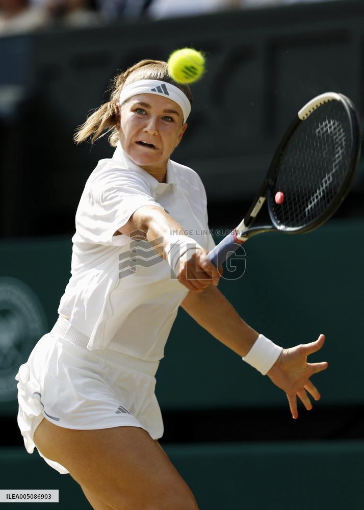 Tennis: Wimbledon championships