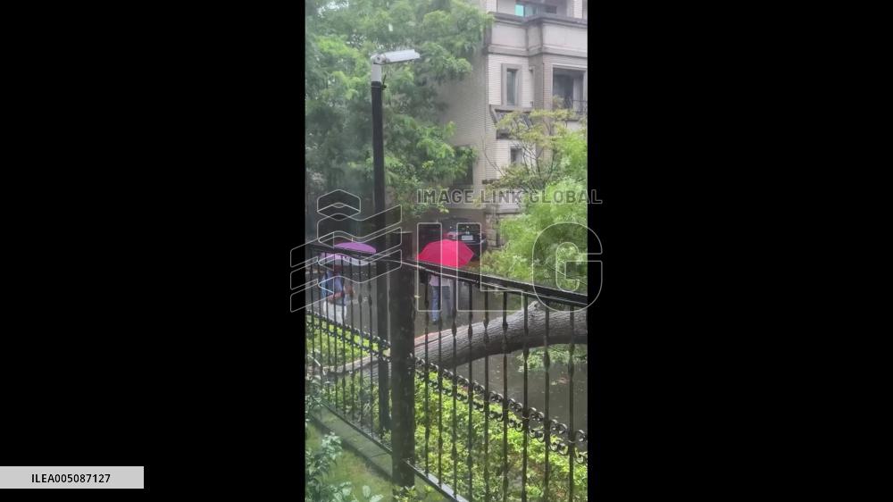 Taiwan: Typhoon Bavi Downs Trees Across Taiwan, Knocks Out Power