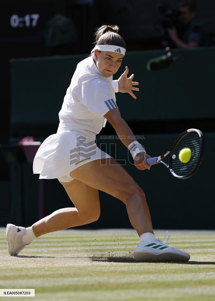 Tennis: Wimbledon championships