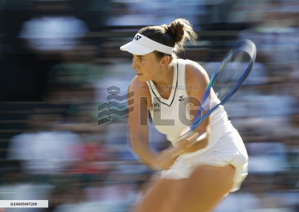 Tennis: Wimbledon championships