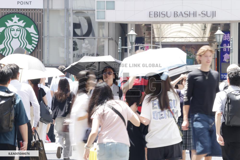 Summer, the image of a parasol