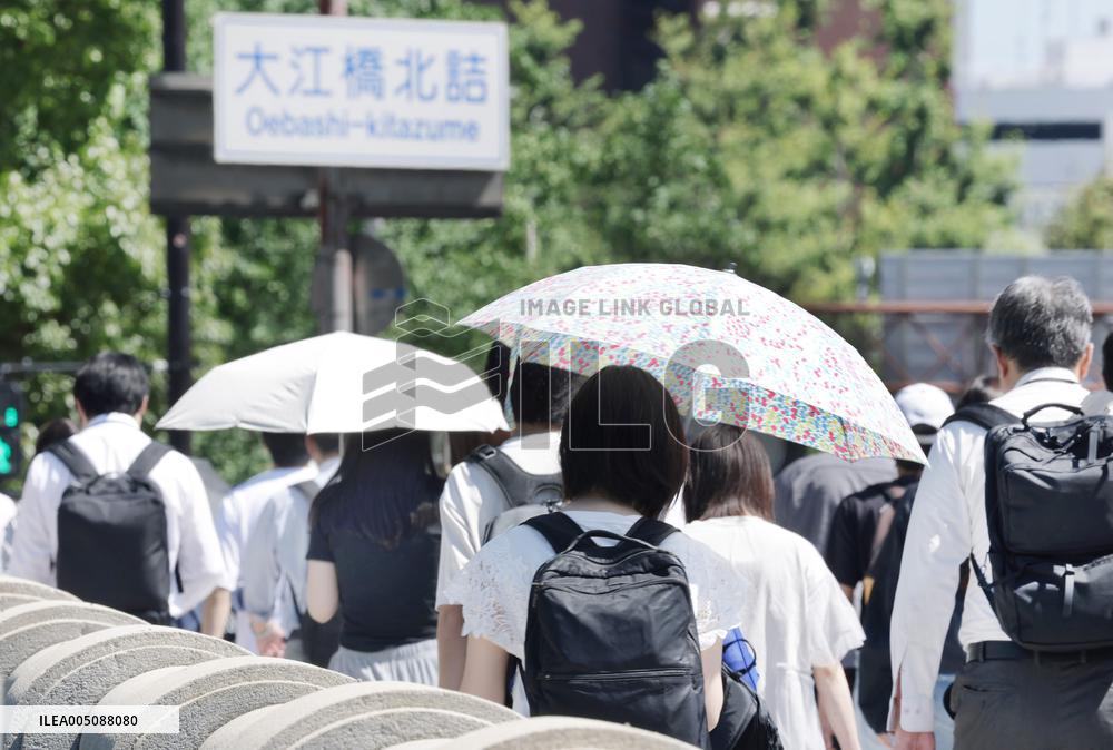 Summer, the image of a parasol