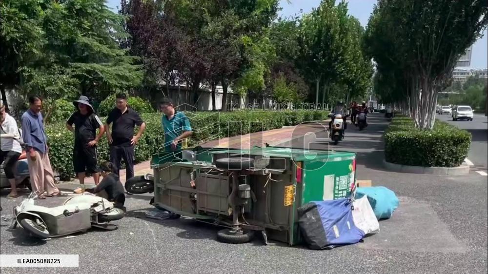 China: Loyal Dog Runs Home to Alert Family After Owner Hit by Vehicle