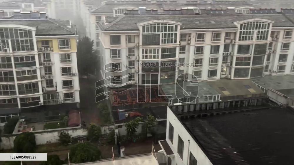 China: Cat Trapped Outside as Storm Pours Down in Shandong