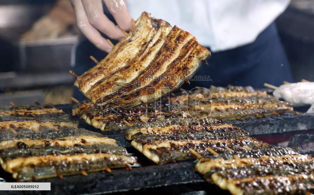 Eel-eating day in Japan