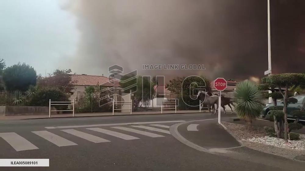 France: Horses Dash Through Biscarrosse Streets Amid Wildfire