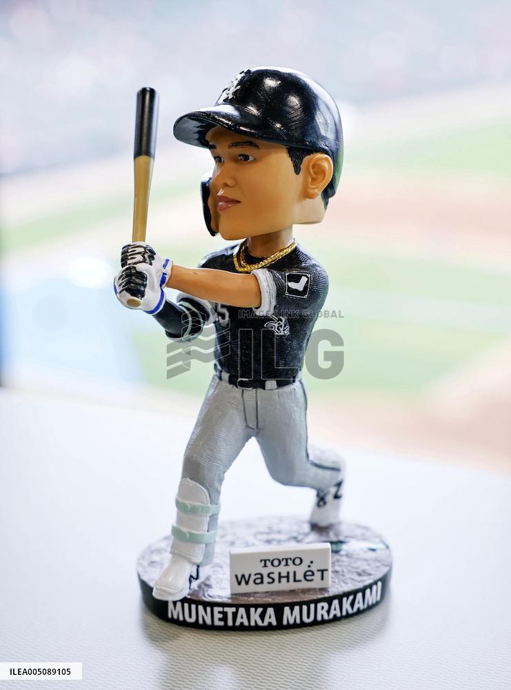 Baseball: Astros vs. White Sox