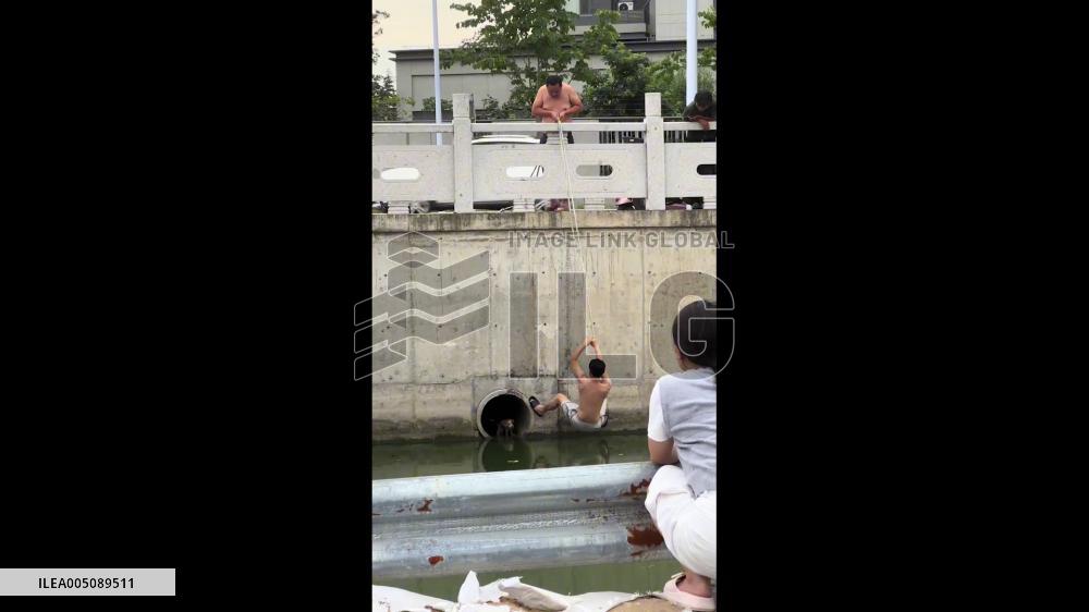 China: Men Rescue Dog Trapped in Drainage Channel in Jiangsu