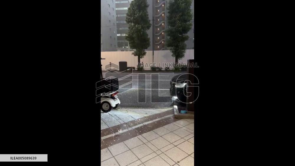 Japan: Severe Storm Batters Tokyo With Torrential Rain and Hail 5