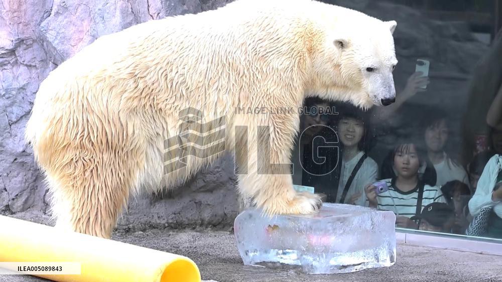 [Breaking News]Hokkaido zoo animals cool off with ice