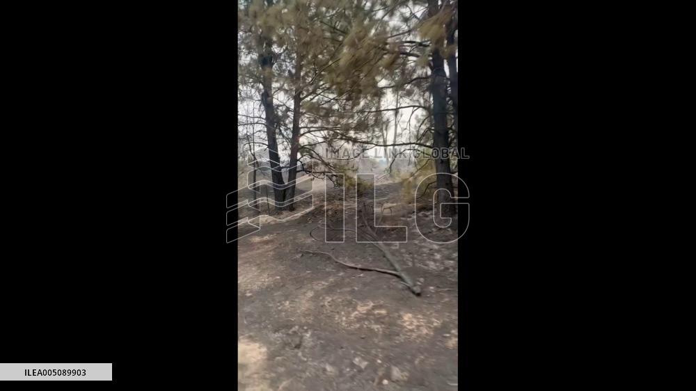 US: Footage Captures Damage From Spokane Wildfires