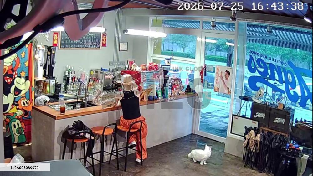 China: Cat Slides into Shop as Typhoon Batters Guangdong