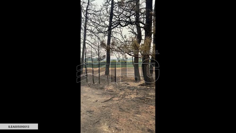 US: Footage Captures Damage From Spokane Wildfires 2
