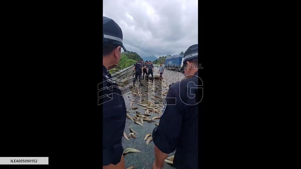 China: Truck Overturns, Spilling Thousands of Live Fish Onto Highway