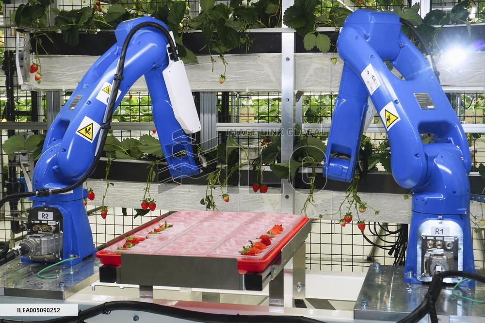 U.S.-based indoor vertical farming startup opens Japan facility