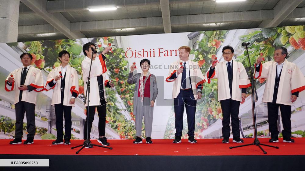U.S.-based indoor vertical farming startup opens Japan facility