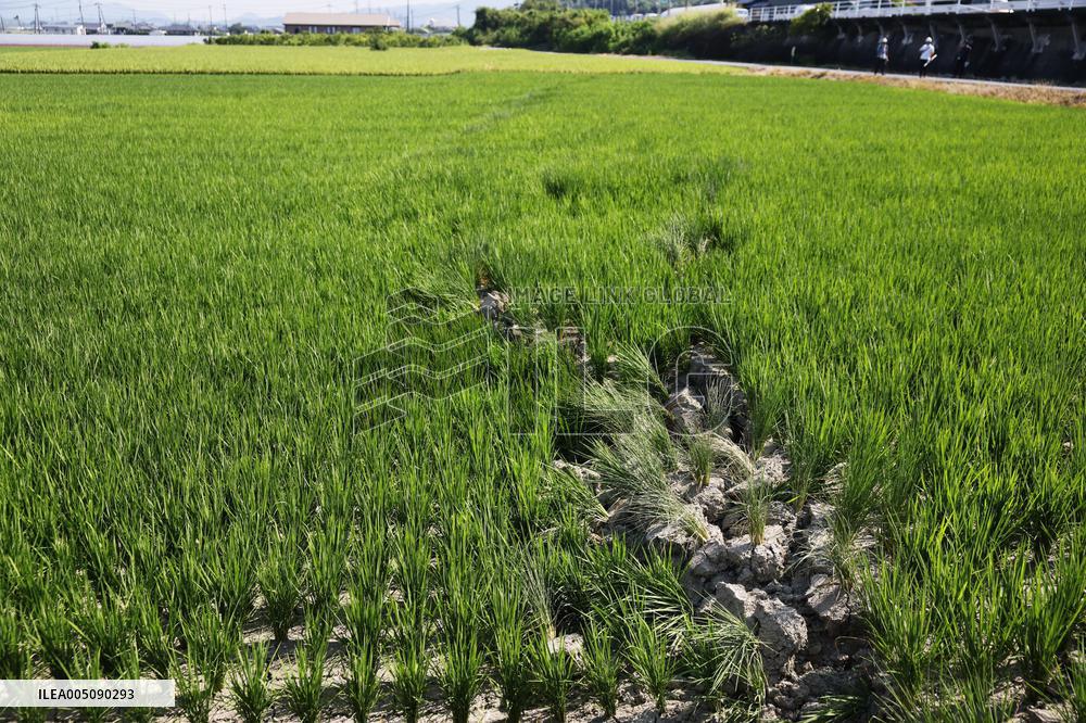 Aftermath of strong earthquake in Kumamoto