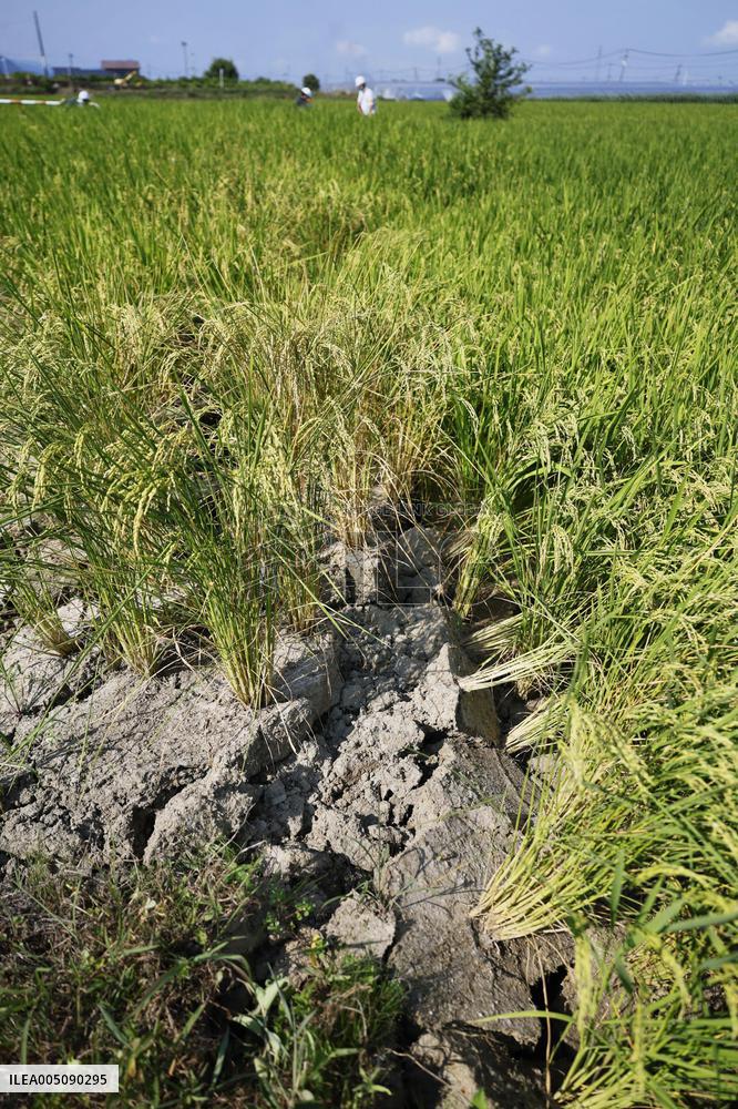 Aftermath of strong earthquake in Kumamoto