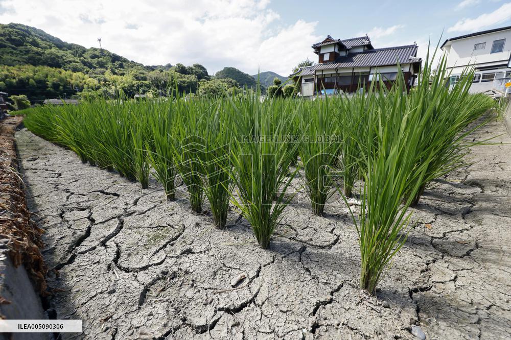Aftermath of strong earthquake in Kumamoto